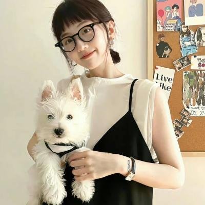 汪汪队立大功第四季